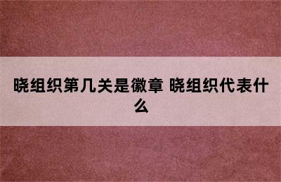 晓组织第几关是徽章 晓组织代表什么